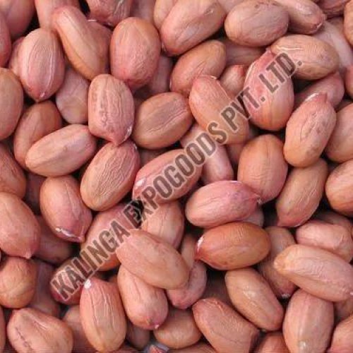 Groundnut
