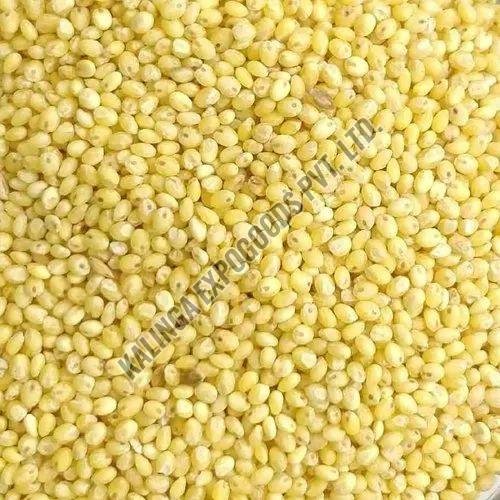 Organic Millet