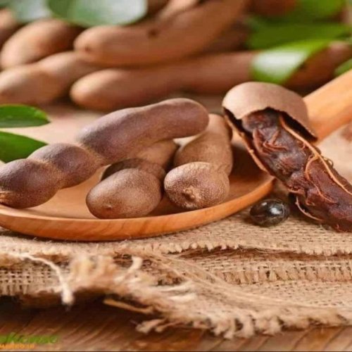 Brown Tamarind