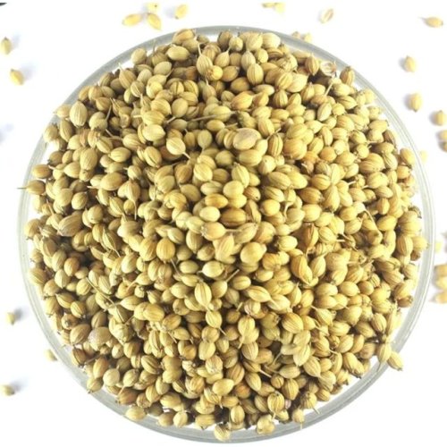 Coriander Seeds