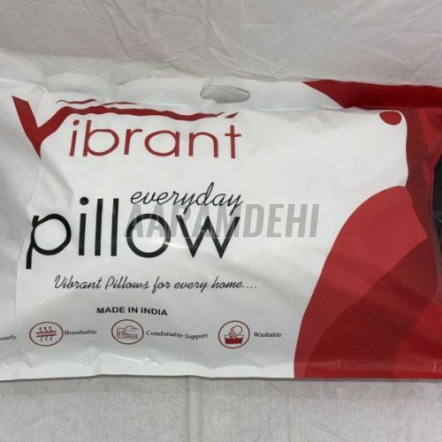 Vibrant Satin Pillow