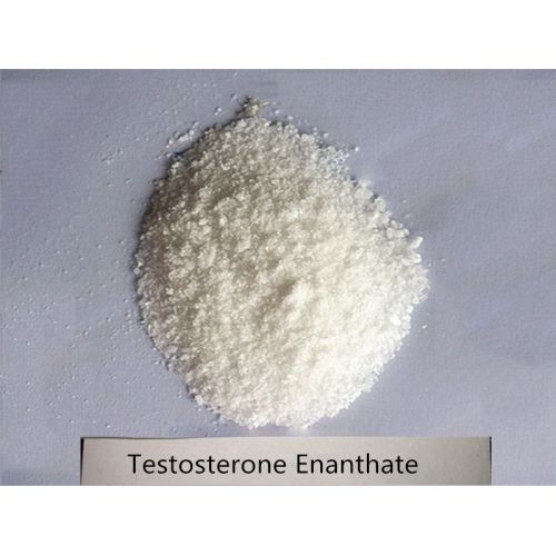 Testosterone Enanthate Powder