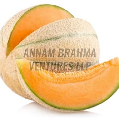 Fresh Muskmelon