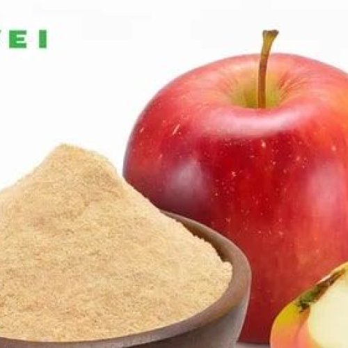 GVEI Spray Dried Apple Powder