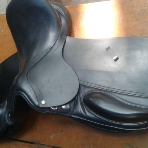 Dressage Horse Bridle