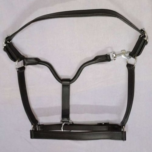 Leather Horse Halter