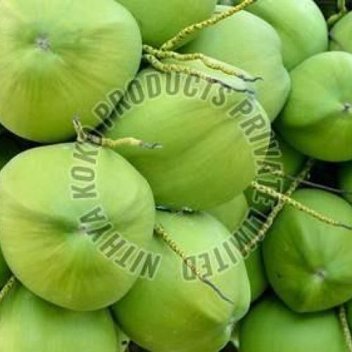 Green Tender Coconut