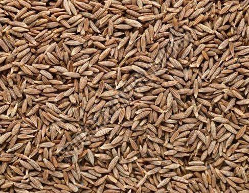 Cumin Seeds