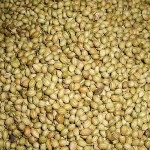 Coriander Seeds