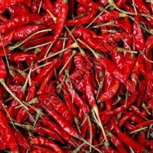 Dry Red Chilli