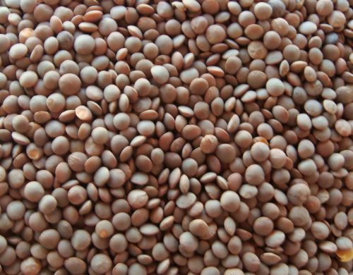 Brown Masoor Dal