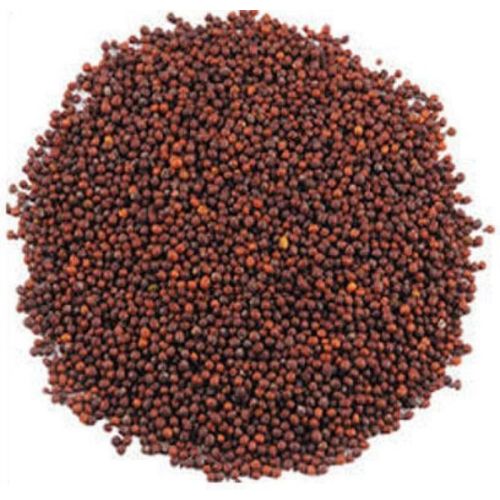 Brown Mustard Seeds