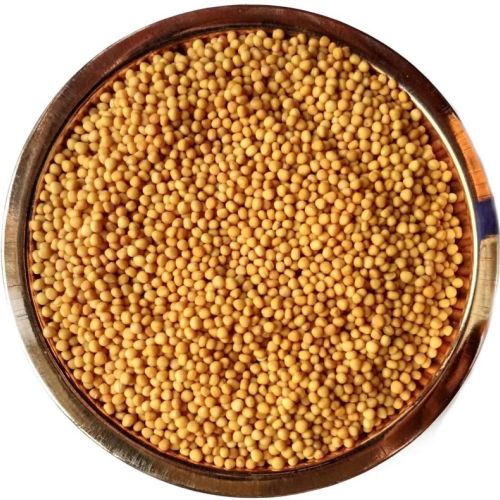 Yellow Mustard Seeds