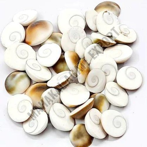 Natural Gomati Chakra