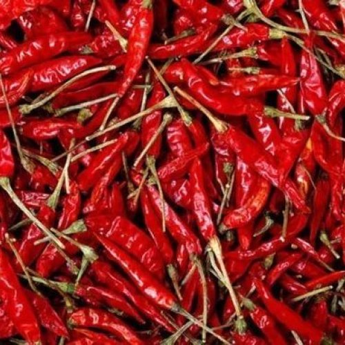 Dry Red Chilli