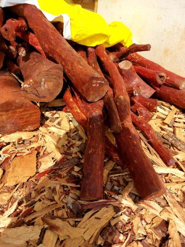 Red Sandalwood