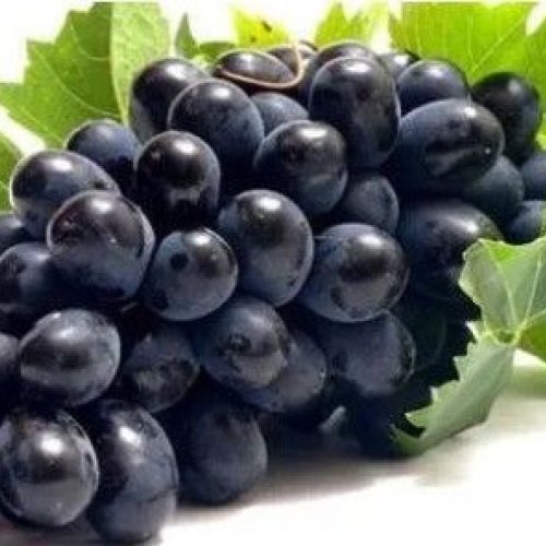 Black Grapes