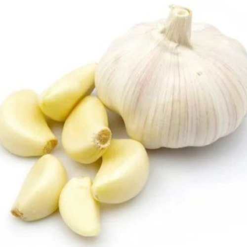 Fresh Garlic