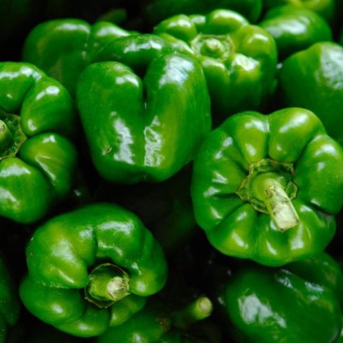 Fresh Green Capsicum