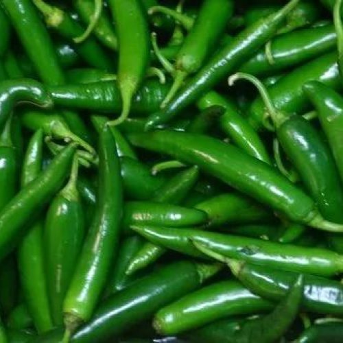 Fresh Green Chilli