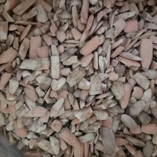 Pink Cuttlefish Bone