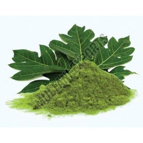 Papaya Leaves Powder