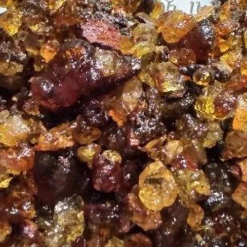 Brown Natural Guggal