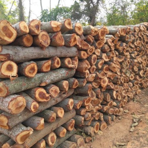 Multi Purpose Fire Wood Logs