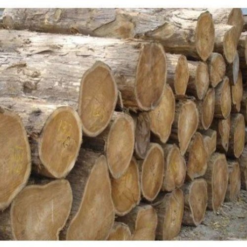 Natural Tamarind Wood Logs
