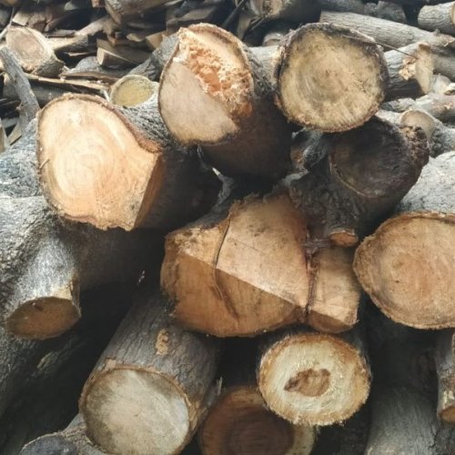 Pine Fire Wood Logs