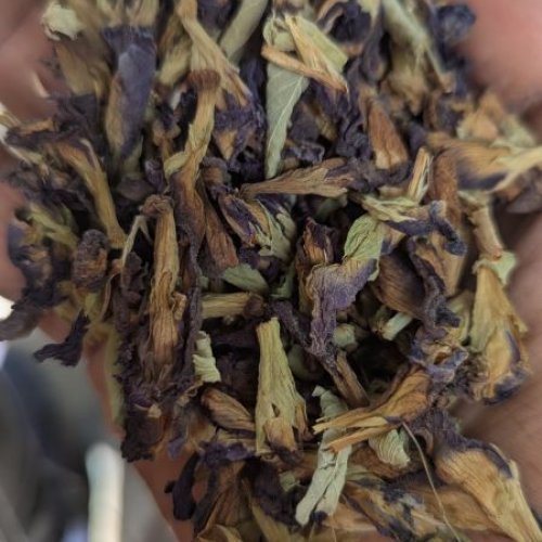Dried Butterfly Pea Flower