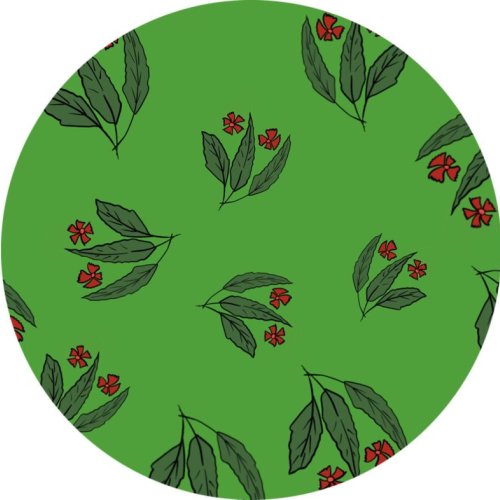 Green and Red Floral Print Fabric