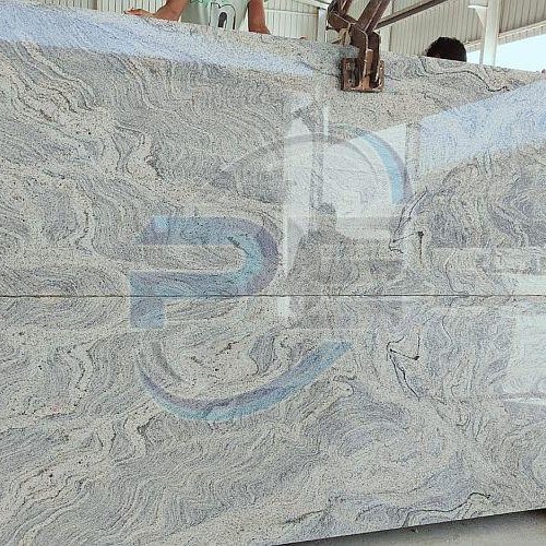 Polished Money White Granite Slab