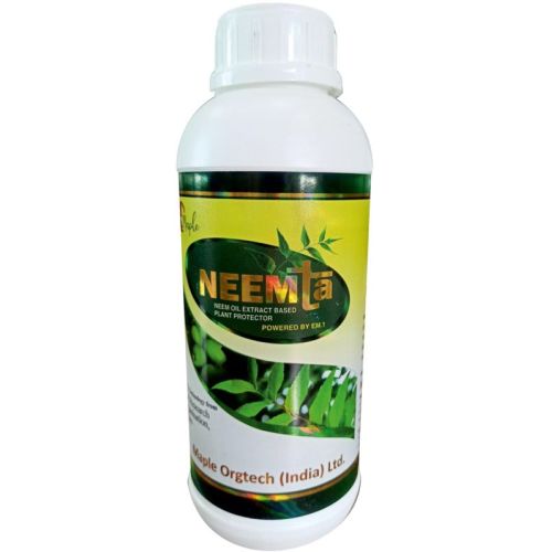 Maple Neemta