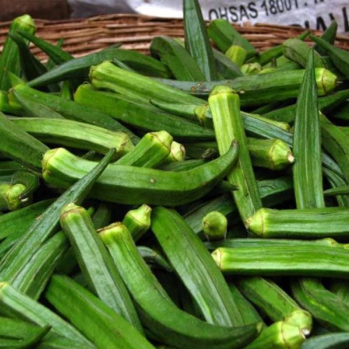 Fresh Green Okra