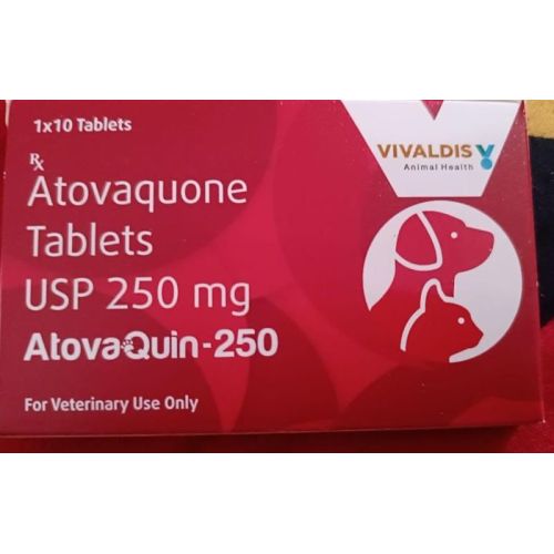 Atovaquin 250mg Tablets