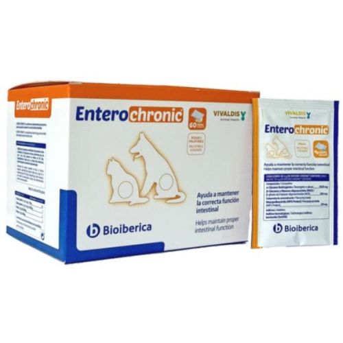 Entero Chronic Prebiotics Probiotics Gut Health Powder