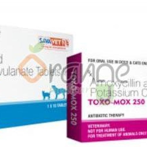 Toxo Mox 500mg Amoxycillin Potassium Clavulanate Tablets
