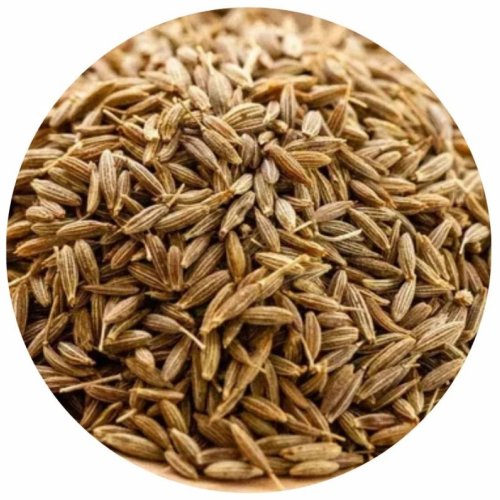 Singapore Quality Cumin Seeds