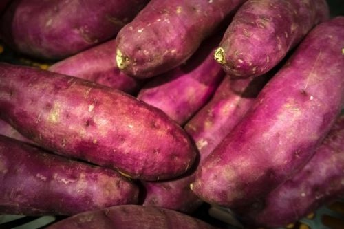 Sweet Potato Powder