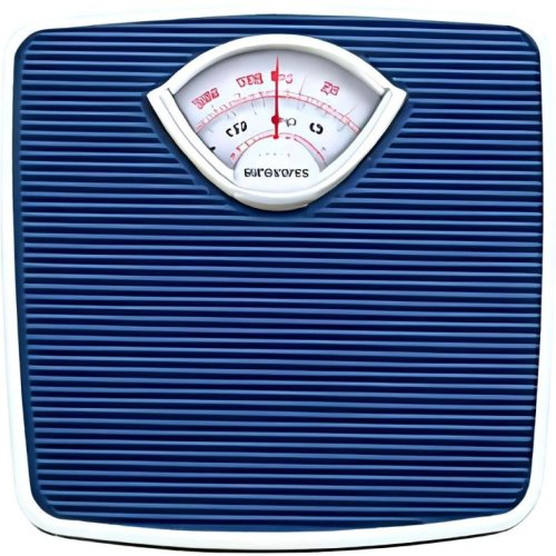 Body Weight Scale