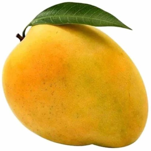 A Grade Fresh Mango