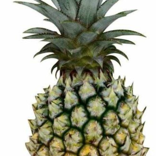 A Grade Fresh Pineapple