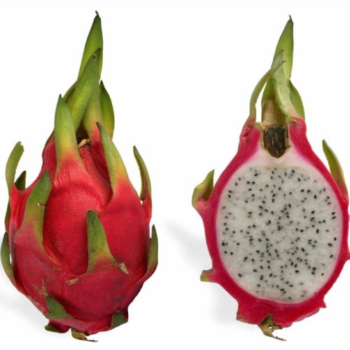 A Grade Fresh Red Dragon Fruit