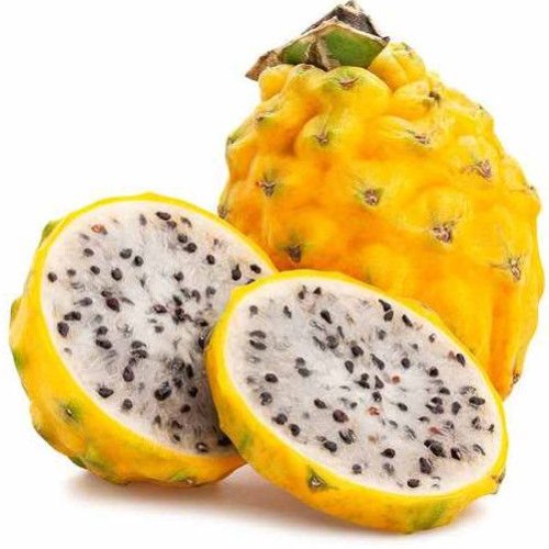 A Grade Fresh Yellow Dragon Fruit