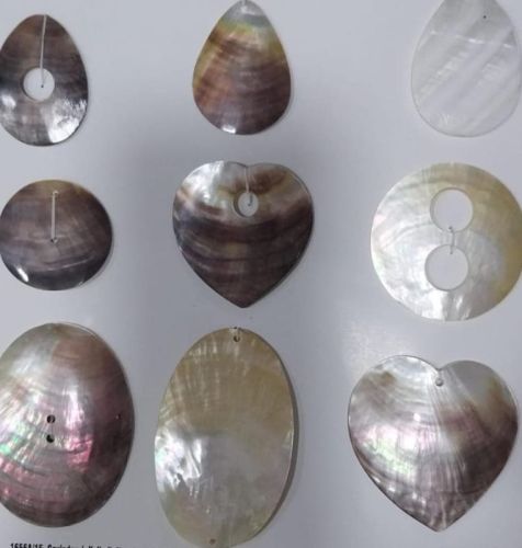 Mother OF Pearl Sea Shells