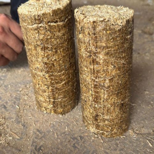 Mustard Stalk Briquette