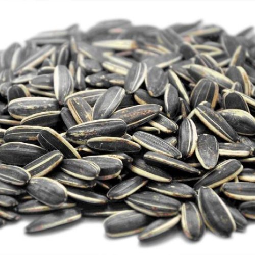 Natural Sunflower Seeds