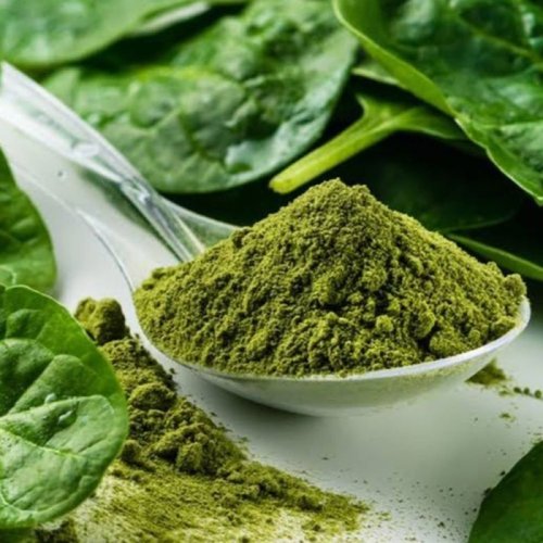 Dried Spinach Powder