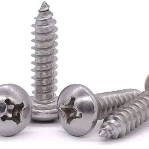 Stainless Steel Raised Head Screw